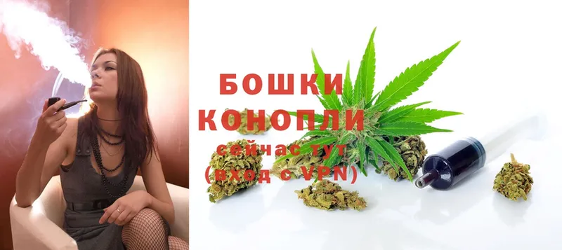 закладка  Вуктыл  Бошки Шишки SATIVA & INDICA 